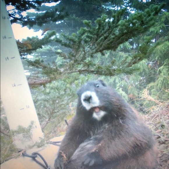 Hi, I’m Michelle❣️ - Picture 3 of 13